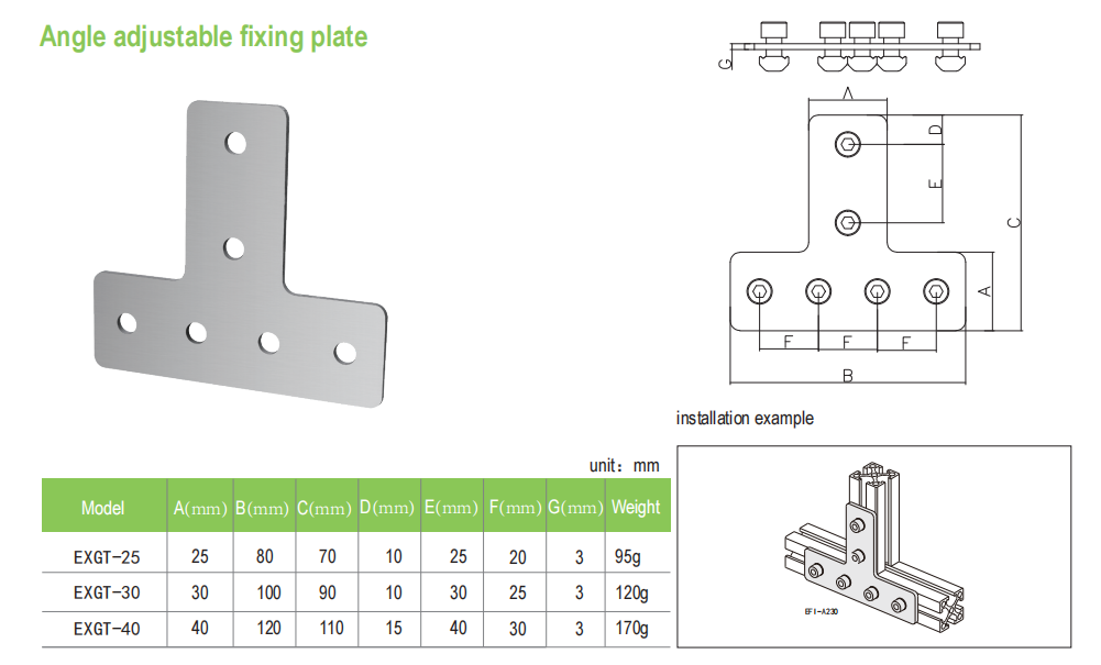 Angle adjustable fixing plate 1.png